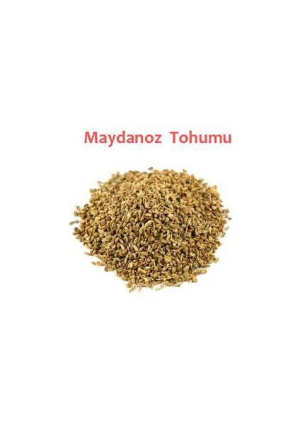 Maydanoz Tohumu 500 gr