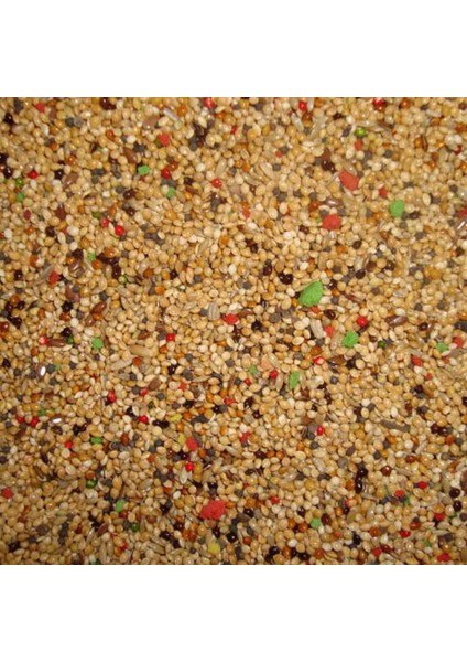 Kuşyemi Multi Vitaminli 1 kg