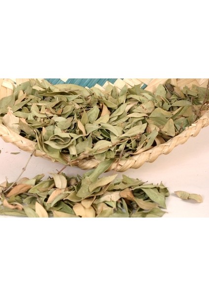Mersin Yaprağı 100 gr