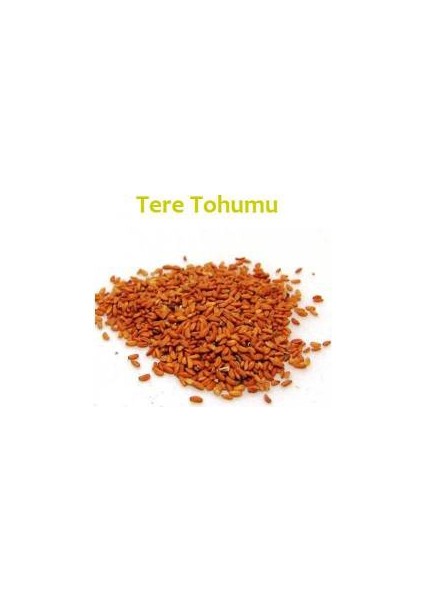Tere Tohumu 100 gr