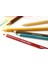 Pastel Kalemi - Raw Sienna 2