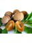 Sapodilla Meyvesi Tohumu Tohhum Ev Bahçe 1