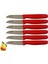 Sürmene 061007 Meyve Bıçağı 6 Lı Set 11 Renk Seçeneği 1