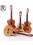 Gitar Pena Korumalığı Pg165yr 4