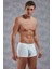 1770 Adonis Boxer 1