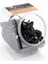 Planetwaves Pwcgtp105 1