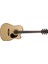 Ad880Cenatw Elektro Akustik Gitar (Kılıflı) 1