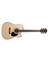 Ad880Censw Elektro Akustik Gitar (Kılıflı) 1