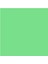Pastel Kalemi - Light Green 1