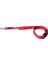 Eur. Leash Gecko S 200 Cm X 10 Mm 1