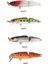 Eg-093Jb Silver Sprat 50 Suni Yem A010 1