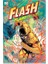 Flash Flashpoint Dünyası Türkçe Çizgi Roman 1