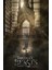 Maxi Poster Fantastic Beasts Teaser Pp33937 1