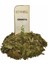 Gymnema Leaves / Gymnema Sylvestre 40 Gram 1