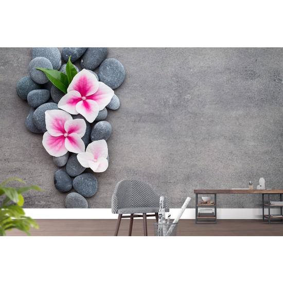 Art Wall Yapışkanlı Resimli Duvar Kağıdı Fiyatı Art Wall Yapışkanlı Resimli Duvar Kağıdı Fiyatı