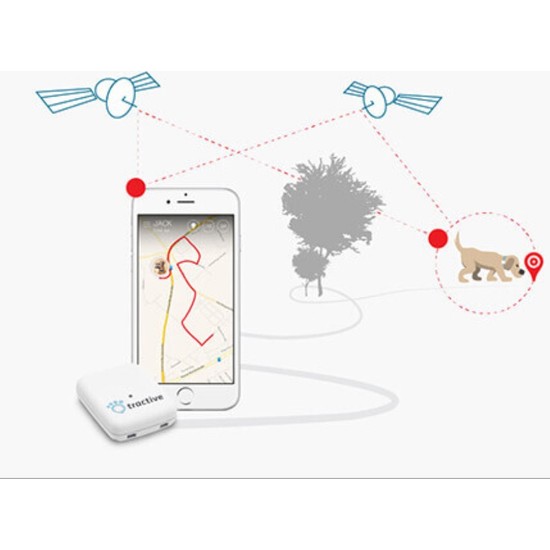 Tractive Gps Köpek Takip Cihazı Fiyatı Taksit Seçenekleri