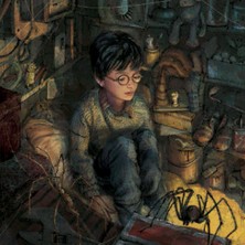 Harry Potter: Sihir Tarihinde Bir Yolculuk