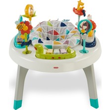 Fisher-Price 2'si 1 Arada Aktivite Merkezi