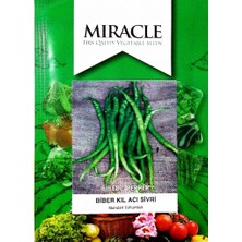 Miracle Tohum Miracle Acı Sivri Kıl Biber Tohumu (10 gram)