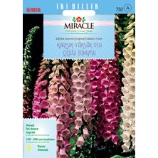 Miracle Tohum Miracle Excelsior Mixed Karışık Renkli Yüksükotu Çiçeği Tohumu (700 tohum)