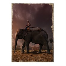 Cakasepetim Ahşap Tablo HintLi Ve Fil