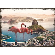 Cakasepetim Ahşap Tablo Rio de Janeiro Filamingolar