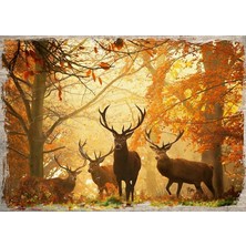 Cakasepetim Ahşap Tablo Ormanda Geyik Topluluğu