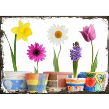 Cakasepetim Ahşap Tablo Saksıda Çiçek Çeşitleri