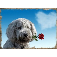 Cakasepetim Ahşap Tablo Köpek Kırmızı Gül