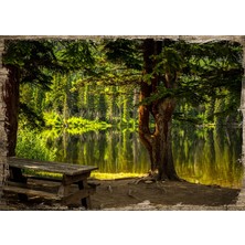 Cakasepetim Ahşap Tablo Göl Orman Piknik