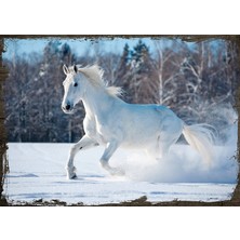 Cakasepetim Ahşap Tablo Karda Beyaz At