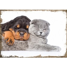 Cakasepetim Ahşap Tablo Kedi Ve Köpek