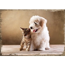 Tablomega Ahşap Tablo Yavru Kedi Ve Köpek