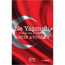 Ne Yapmalı, Türkiye İçin Bir Çözüm