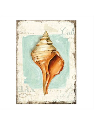 Cakasepetim Ahşap Tablo Deniz Kabuğu