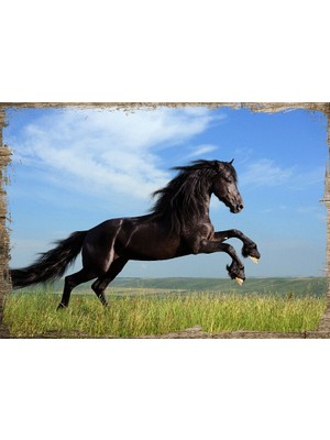 Cakasepetim Ahşap Tablo Asil At