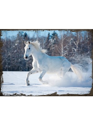 Cakasepetim Ahşap Tablo Karda Beyaz At