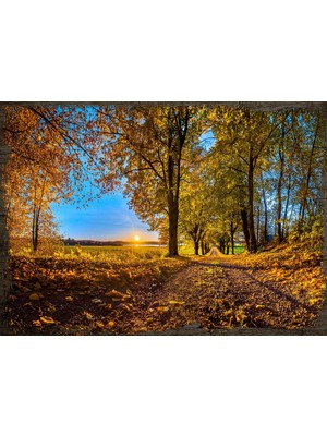 Cakasepetim Ahşap Tablo Gün Batımı Ağaçlı Yol