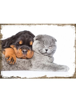 Cakasepetim Ahşap Tablo Kedi Ve Köpek