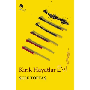 Kırık Hayatlar Evi - Şule Toptaş