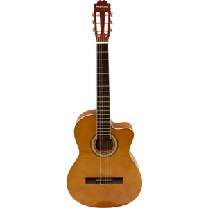 Klasik Gitar