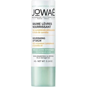Nourishing Lip Balm 4 g