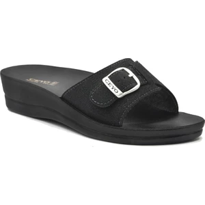 Minerva Tok. Kadın Terlik