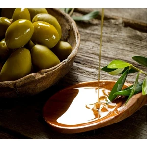 E-fidancim Sarı Ulak Zeytin Fidanı