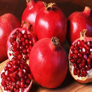 E-fidancim Tüplü  Wonderful Nar Fidanı Sınırlı Stok