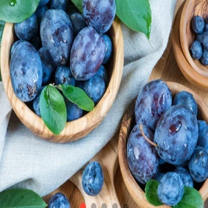 E-fidancim Tüplü Tam Bodur İnnovative Tree Mürdüm Eriği Fidanı