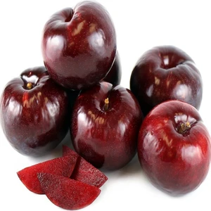 E-fidancim Tüplü Yarı Bodur Black Splendor Japon Erik Fidanı(Anaç myrobolan 29c)