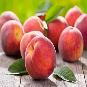 E-fidancim Tüplü Tam Bodur İnnovative Tree Cresthaven Şeftali Fidanı