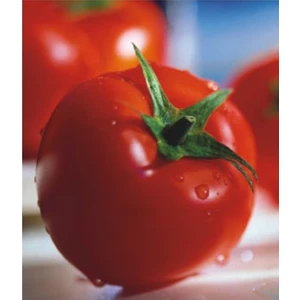 Miracle Tohum Miracle Sofralık 2274 Domates Tohumu (10 gram)