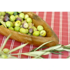 E-fidancim Ayvalık Edremit Zeytin Fidanı (1 Yaş)